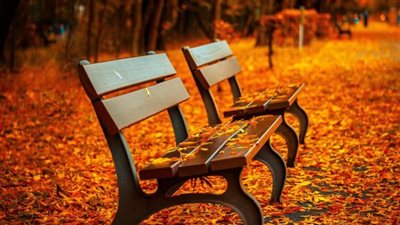 89 يوما و20 ساعة و54 دقيقة.. موعد ومدة فصل الخريف 2022