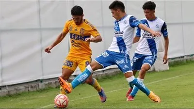 بوبيلا يفوز على تيغريس أونال في الدوري المكسيكي