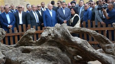 آمنة: جاهزون لافتتاح مسار العائلة المقدسة عالميًا