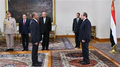 عاجل.. السيسي يتسلم أوراق اعتماد 13 سفيرا جديدًا