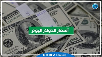 سعر الدولار اليوم الأربعاء 21-9-2022 بالبنوك والمصارف العاملة في مصر