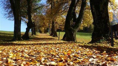 قبل بداية فصل الخريف 2023.. الأرصاد تصدم المصريين (فيديو)