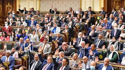 برلماني: قرارات العفو الرئاسي تعكس حرص الدولة لتعزيز حقوق الإنسان