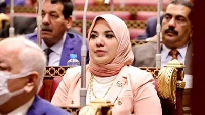 برلمانية: حققنا مكتسبات جذرية في تطبيق الاستراتيجية الوطنية لحقوق الإنسان