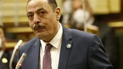 برلماني: الرئيس السيسي وضع 