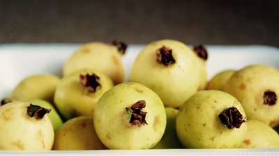 هل محصول الجوافة مصاب بالديدان؟.. الزراعة تجيب