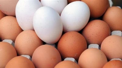 أسعار البيض اليوم الاربعاء 28 سبتمبر 2022.. تحذيرات من ارتفاعها