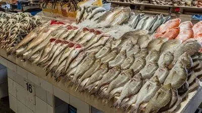 أسعار السمك في السوق المصري اليوم الاربعاء 28 سبتمبر 2022