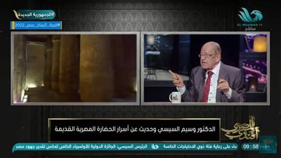 وسيم السيسي: 