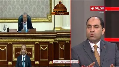 النائب عمرو درويش يكشف آخر تطورات تعديل قانون الأحوال الشخصية (فيديو)