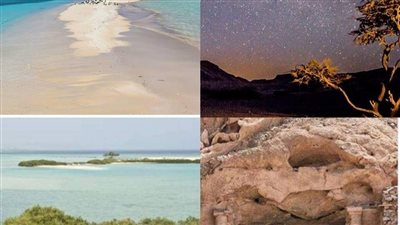 قبل قمة المناخ.. محمية وأدى الجمال بمرسى علم جنة الله على الأرض (صور)