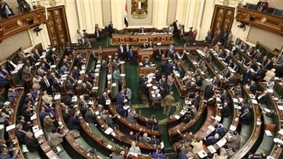 13 اختصاصا للجنة التضامن الاجتماعي وذوي الإعاقة بمجلس النواب (اعرفها)