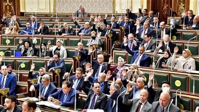 محو الأمية.. 11 اختصاصا للجنة التعليم والبحث العلمي بمجلس النواب (اعرفها)