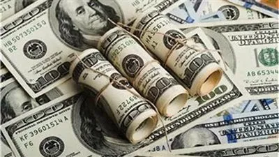 سعر الدولار في مصر.. مختصون: سيصل لـ 22 جنيها