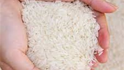 صناعة الحبوب: كتابة اسعار توريد الأزرعلى بوابات المضارب