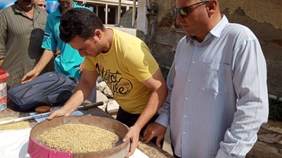 التموين: توريد 15 الف طن ارز شعير بالدقهلية 