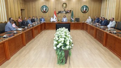 محافظ المنوفية: إطلاق التيار الكهربائي بالمنطقة الصناعية الرابعة بقويسنا