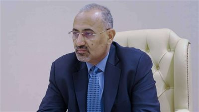 اليمن.. مجلس القيادة الرئاسي: يجب الرد بكل قوة على التعديات الحوثية