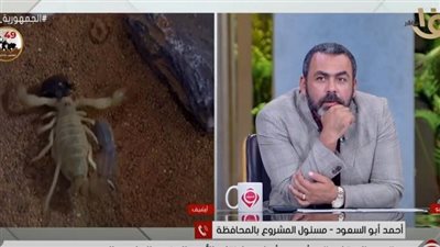 الجرام بـ7 آلاف دولار.. مشروع شبابي لإنتاج سم العقارب بالوادي الجديد