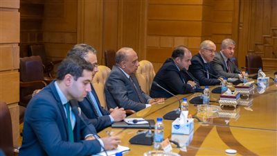 وزير قطاع الأعمال العام: حريصون على التكامل وتعظيم العائد من الموارد الوطنية المتاحة