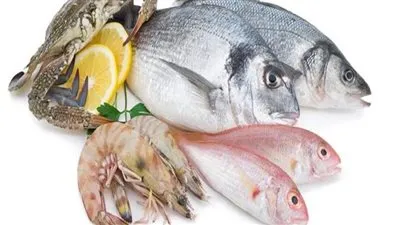 أسعار السمك في مصر اليوم الثلاثاء 11 أكتوبر 2022