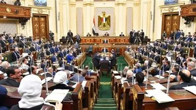 برلمانية تكشف أهم القوانين المطروحة على مجلس النواب 