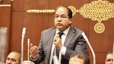 برلماني: المؤتمر الاقتصادي نافذة للاستثمار الصحيح.. ونحتاج لحوافز تدعم القطاعات الواعدة 