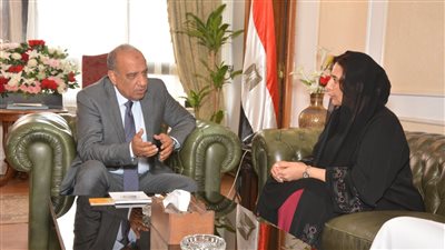 وزير قطاع الأعمال: 1400 شركة إماراتية تعمل في السوق المصرية ونسعي لخلق فرص استثمارية بين البلدين