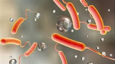 بعد تفشي الكوليرا في سوريا ولبنان.. تعرف على أعراضها وطرق الوقاية والعلاج (تقرير)