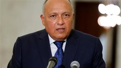 وزير الخارجية يطلع نظيره الهندي على تطورات 