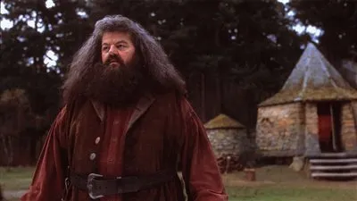 بعد إعلان وفاة روبي كولترين.. اسم هاري بوتر يتصدر تريند محركات البحث