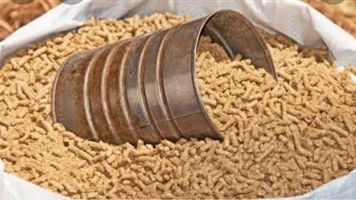 أسعار الأعلاف في السوق المصري اليوم الأحد 16 أكتوبر 2022 