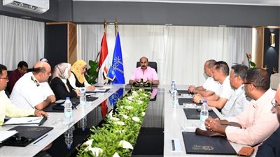 محافظ أسوان يشدد على التنسيق الجيد لخروج الاحتفال بمهرجان تعامد الشمس بالشكل المشرف 