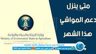 موعد نزول دعم المواشي في السعودية.. التفاصيل الكاملة