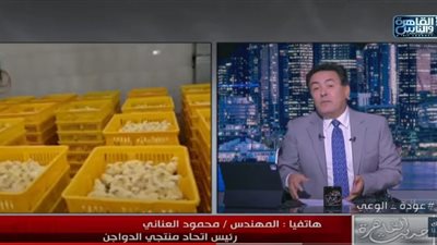 انتهت أزمة الأعلاف..رئيس اتحاد منتجي الدواجن يكشف قرار مهم لمجلس الوزراء