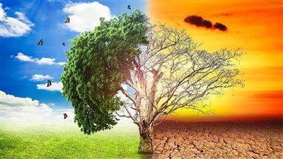 استشاري تغيرات مناخية: هناك موجات جفاف في أمريكا لم تحدث منذ ألف عام (فيديو)