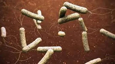 بعد ظهوره من جديد.. كل ما تريد معرفته عن مرض الكوليرا 