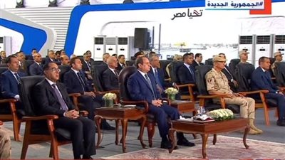 السيسي يدعو القطاع الخاص للعمل في الرمال السوداء: الطلب العالمي كبير (فيديو)