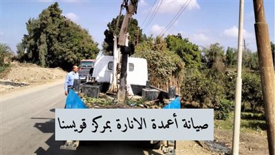 حملات لصيانة أعمدة الإنارة وشبكات الكهرباء بالمنوفية استعدادا للشتاء