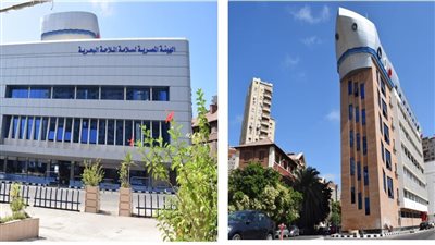 النقل: تعلن فوز مصر بإقامة المكتب الإقليمي للمنظمة البحرية الدولية بالإسكندرية