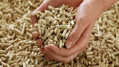 خبير: بدء إنتاج إنزيمات وإضافات الأعلاف فائقة الجودة بمدينة السادات