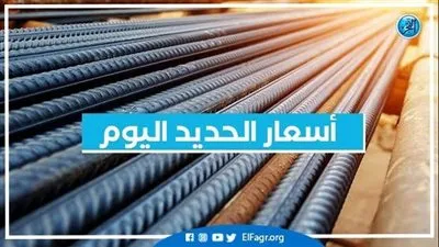 أسعار الحديد اليوم الأربعاء 26-10-2022 محافظة الإسكندرية