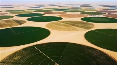 أستاذ زراعة يكشف التحديات التي تغلبت عليها مصر في مشروع توشكى (فيديو)