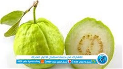 لا تسبب إمساك.. تعرف على فوائد بذور الجوافة