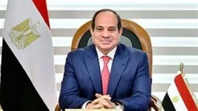 الرئيس السيسي يزف بشرى سارة بشأن القمح 