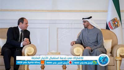 عاجل ـ الرئيس السيسي يستقبل الشيخ محمد بن زايد في زيارة أخوية تاريخية تعكس عمق العلاقات المصرية الإماراتية