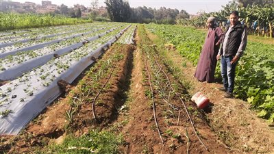 محافظ المنوفية: تمويل (90) مشروع اقتصادي ضمن إقراض الأسر للقرى والأحياء الشعبية