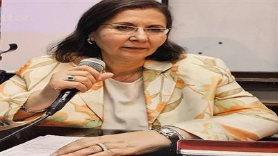 أستاذة اقتصاد: تحرير سعر الصرف ضرورة لهذه الأسباب (فيديو)