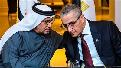 مجلس الأعمال المصري الإماراتي يبحث دعم فرص التعاون بين البلدين