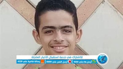 حزنًا عليه.. أم تلحق بابنها بعد وفاته بثلاثة أيام في البحيرة